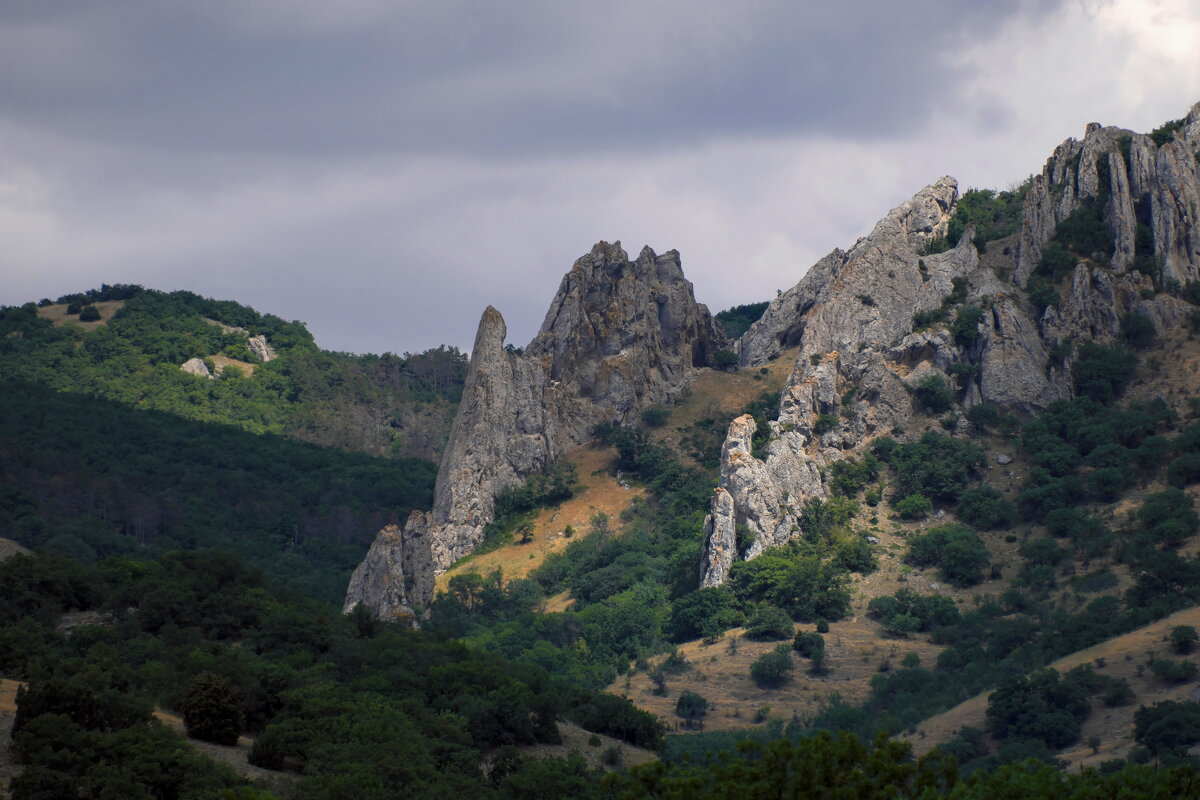 и ещё о драконах... ))) - Всеволод 