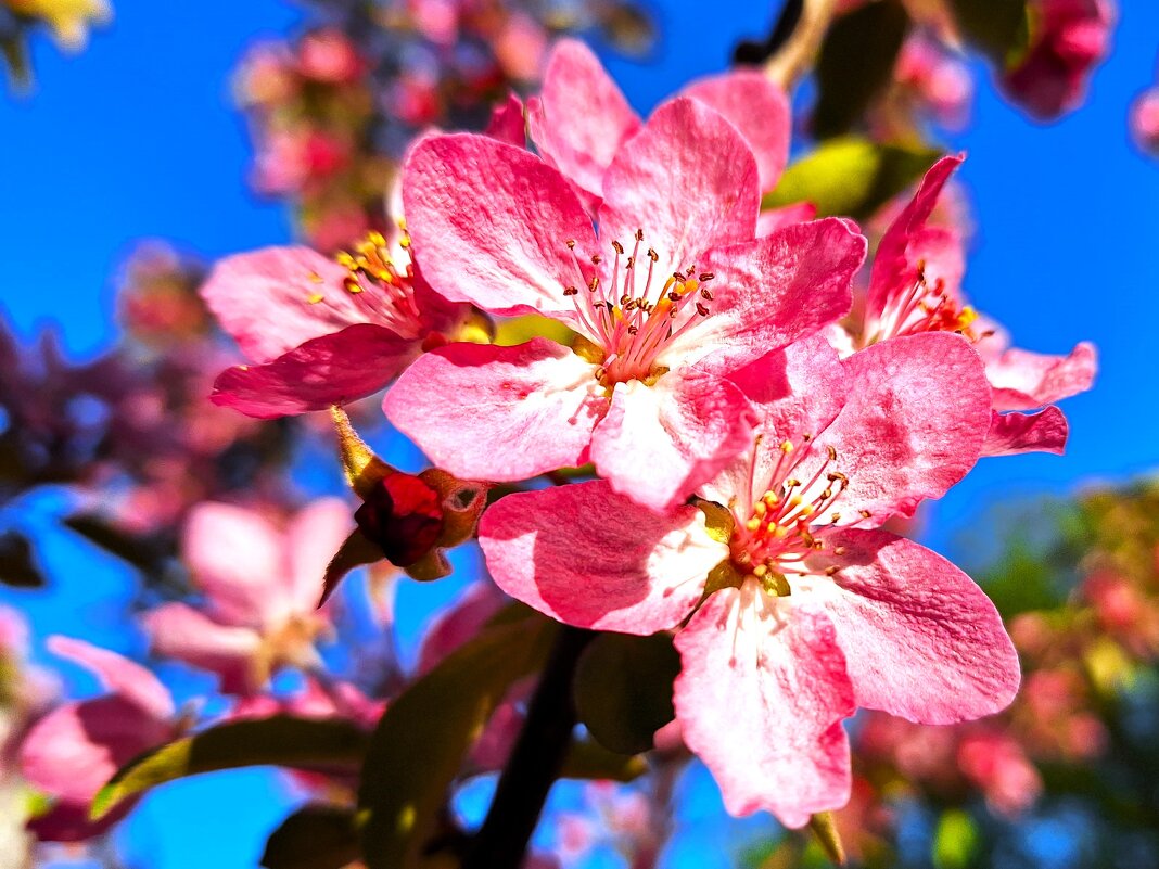 Весеннее - Наталья 