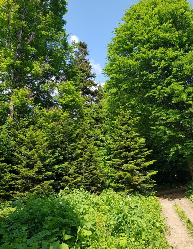 СЕВЕРНЫЙ КАВКАЗ - Tata Wolf