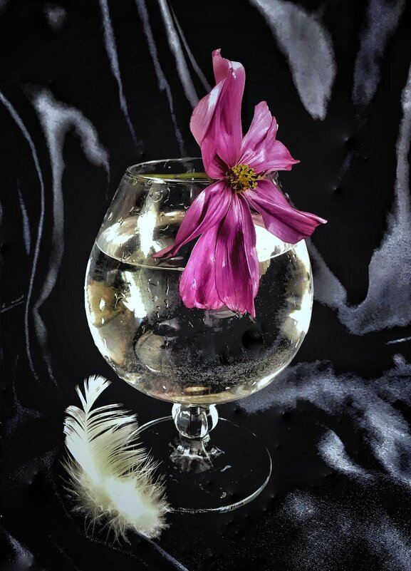 ..Жизнь не там, где бьётся сердце... а там, где оно замирает... - TAMARA КАДАНОВА