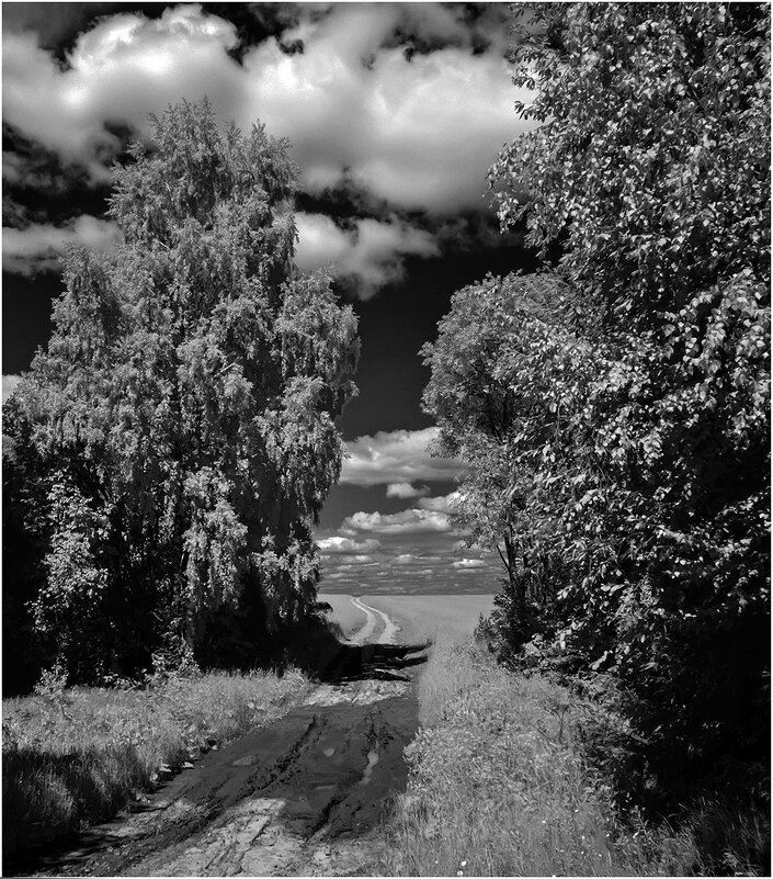 Полевая дорога - Валентин Котляров