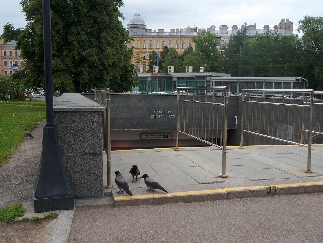 "... метро закрыто, в такси не содют..." - zavitok *