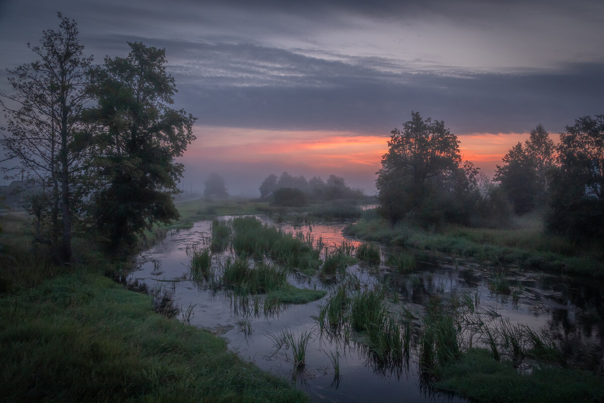 **** - Елизавета .