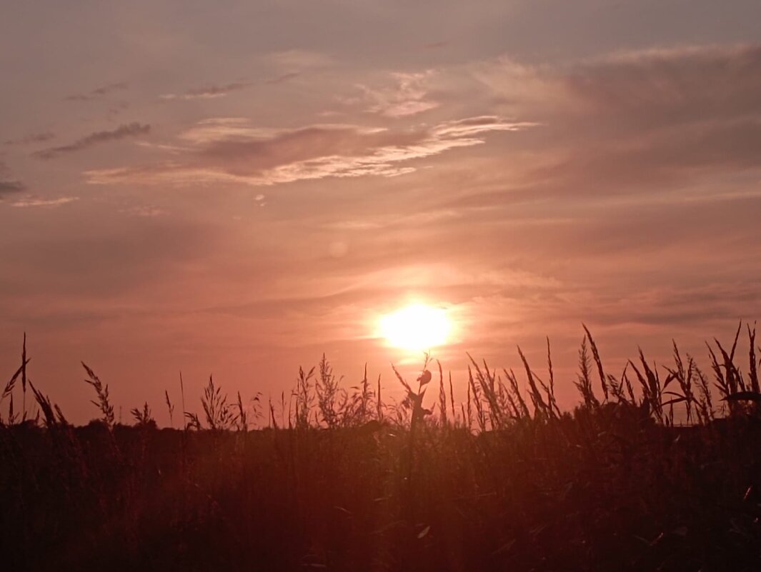 Мелодия заката - Елена Семигина