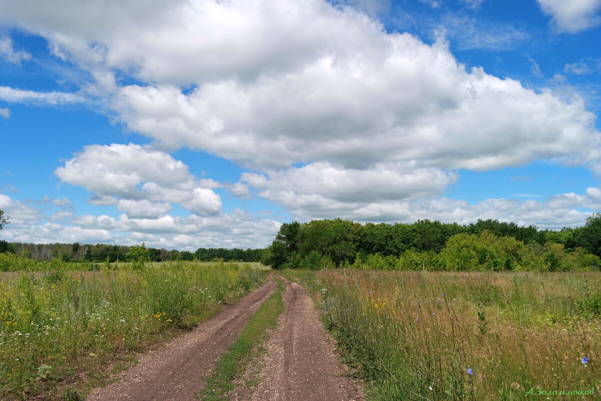 Проезжая по июлю... - Андрей Заломленков Проезжая по июлю... - Андрей Заломленков