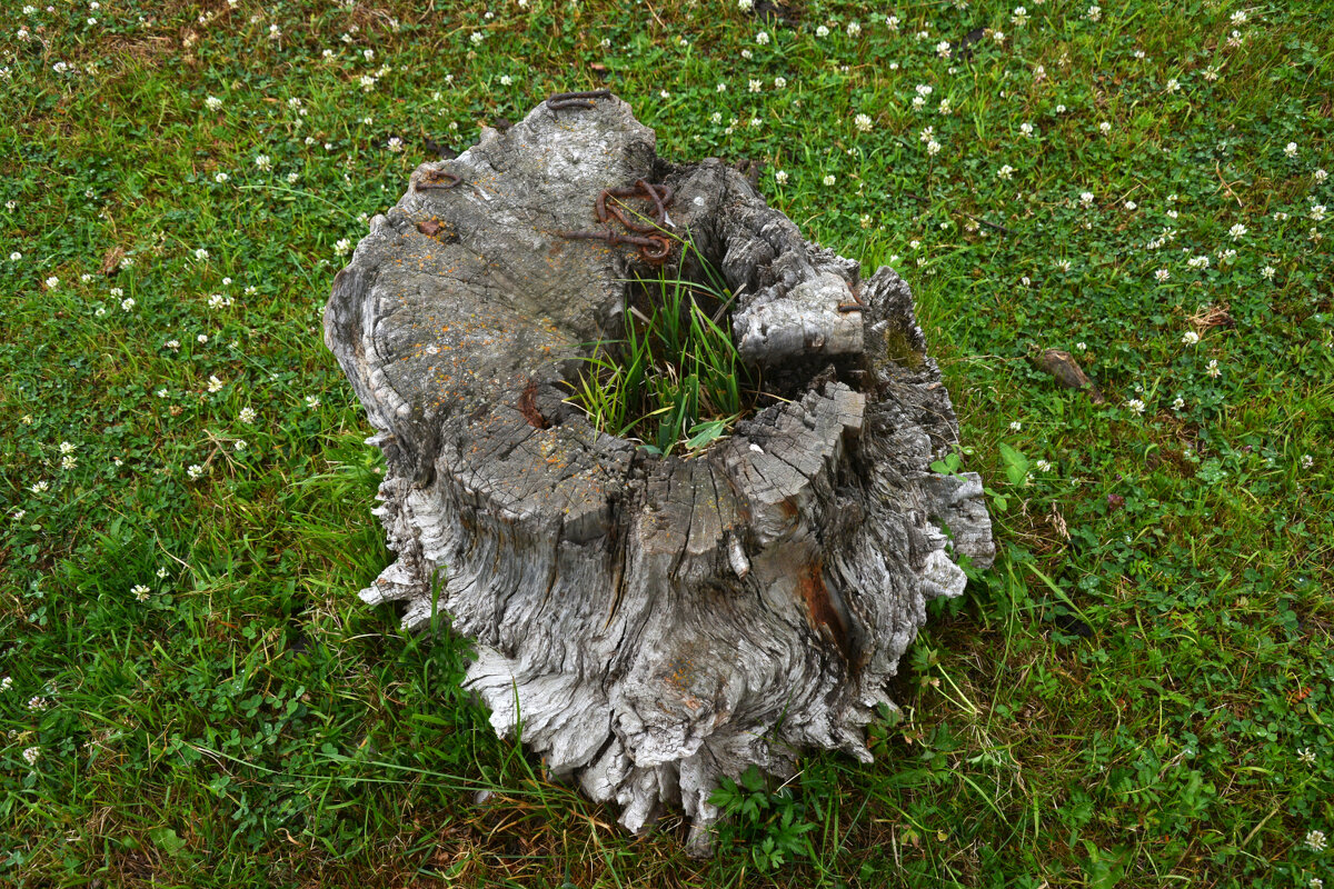 * - Наталья Покацкая * - Наталья Покацкая