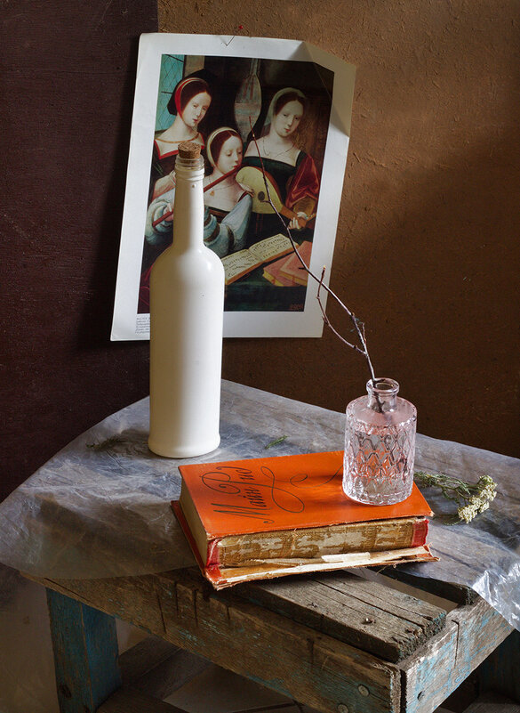 С книгой - Наталья S