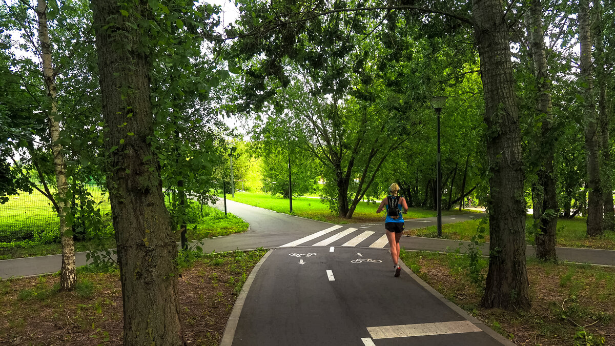 в Летнем Парке - юрий поляков