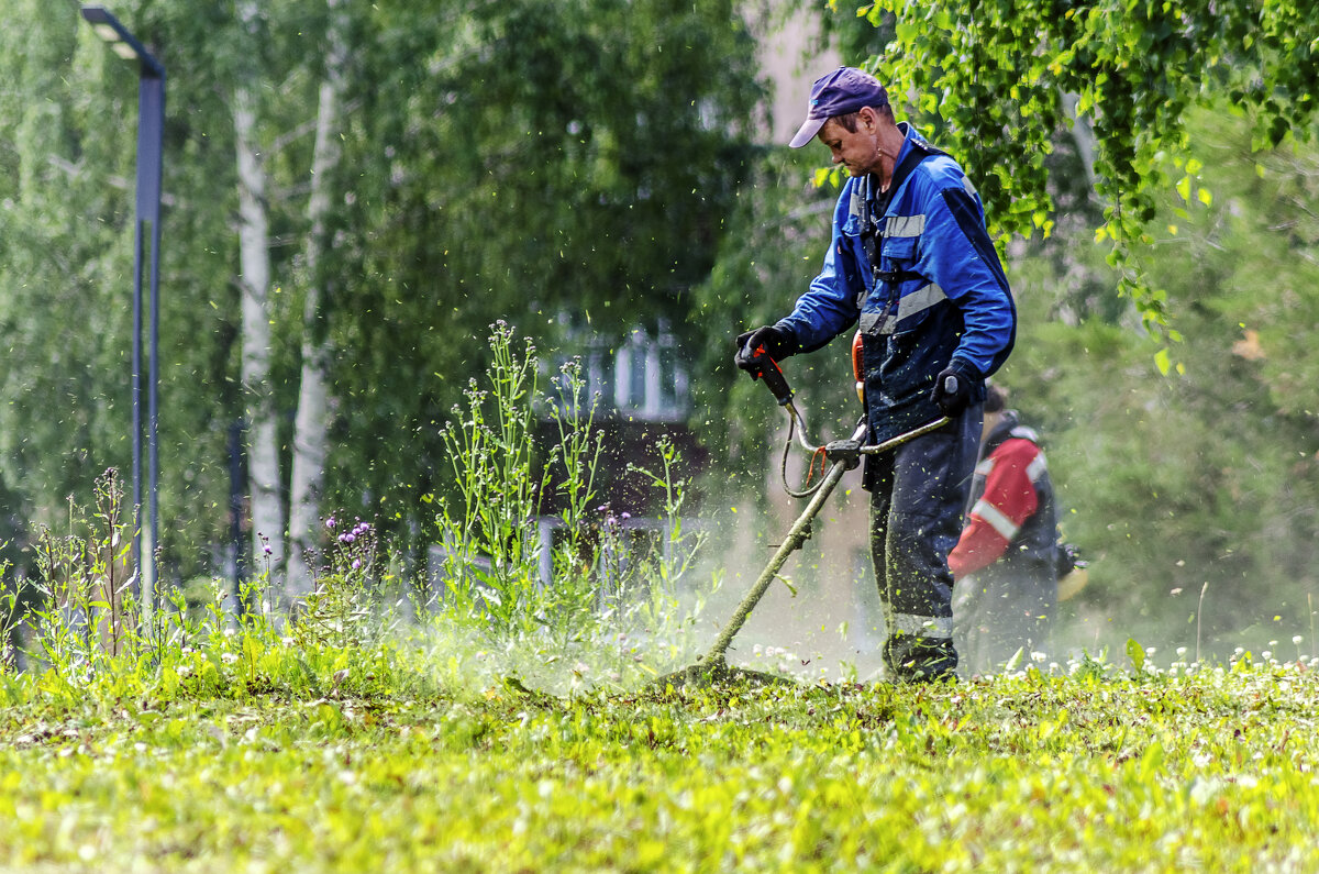 Парковый парикмахер - Андрей Щетинин