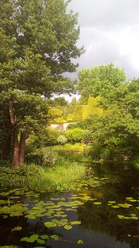 Парк - Ирина 