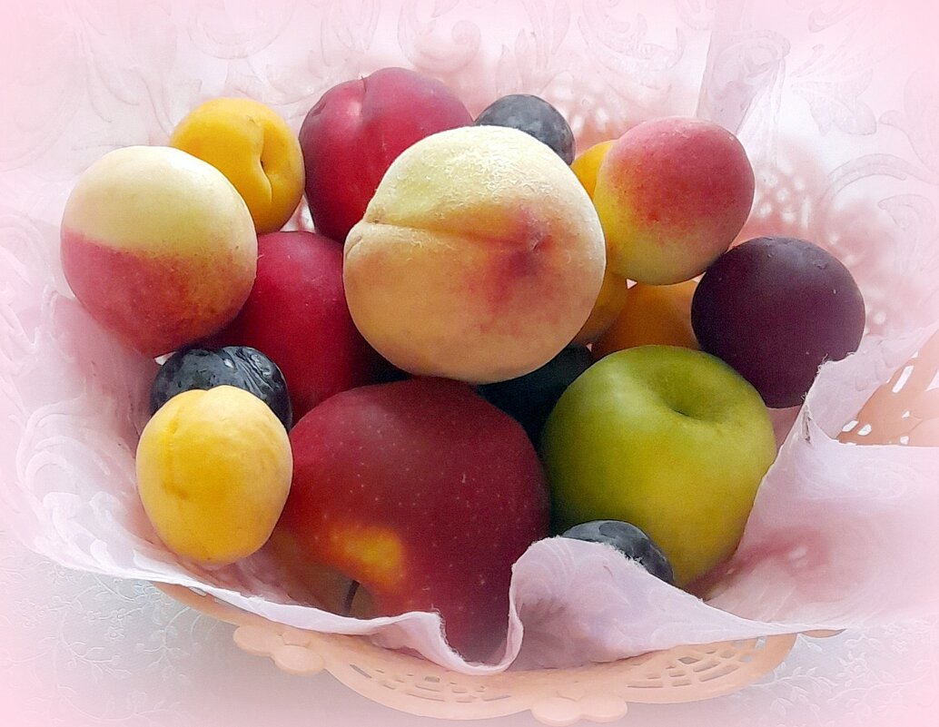 Фрукты лета . - Мила Бовкун Фрукты лета . - Мила Бовкун