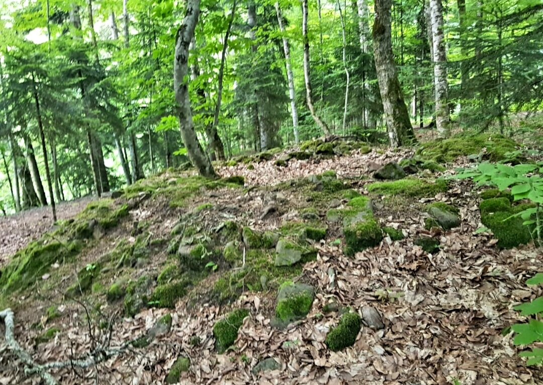 СЕВЕРНЫЙ КАВКАЗ - Tata Wolf