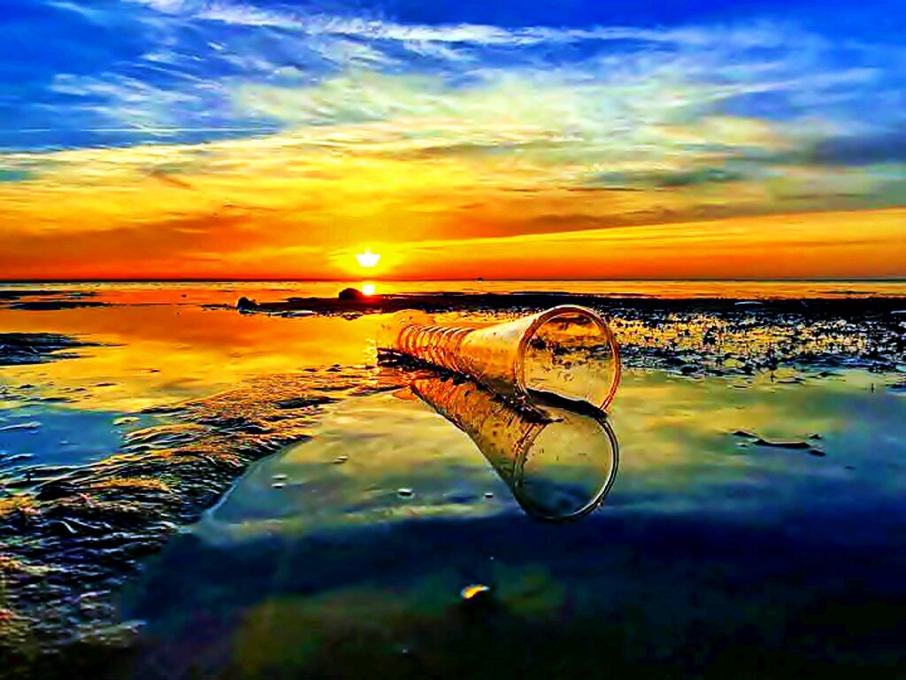 ПИВНОЙ   БОКАЛ   НА   БЕРЕГУ - Анатолий Малобродский