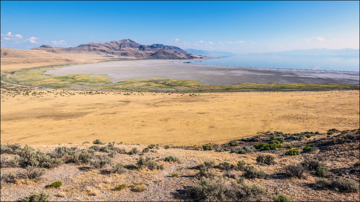 Остров Антилопы - **** vedin Остров Антилопы - **** vedin