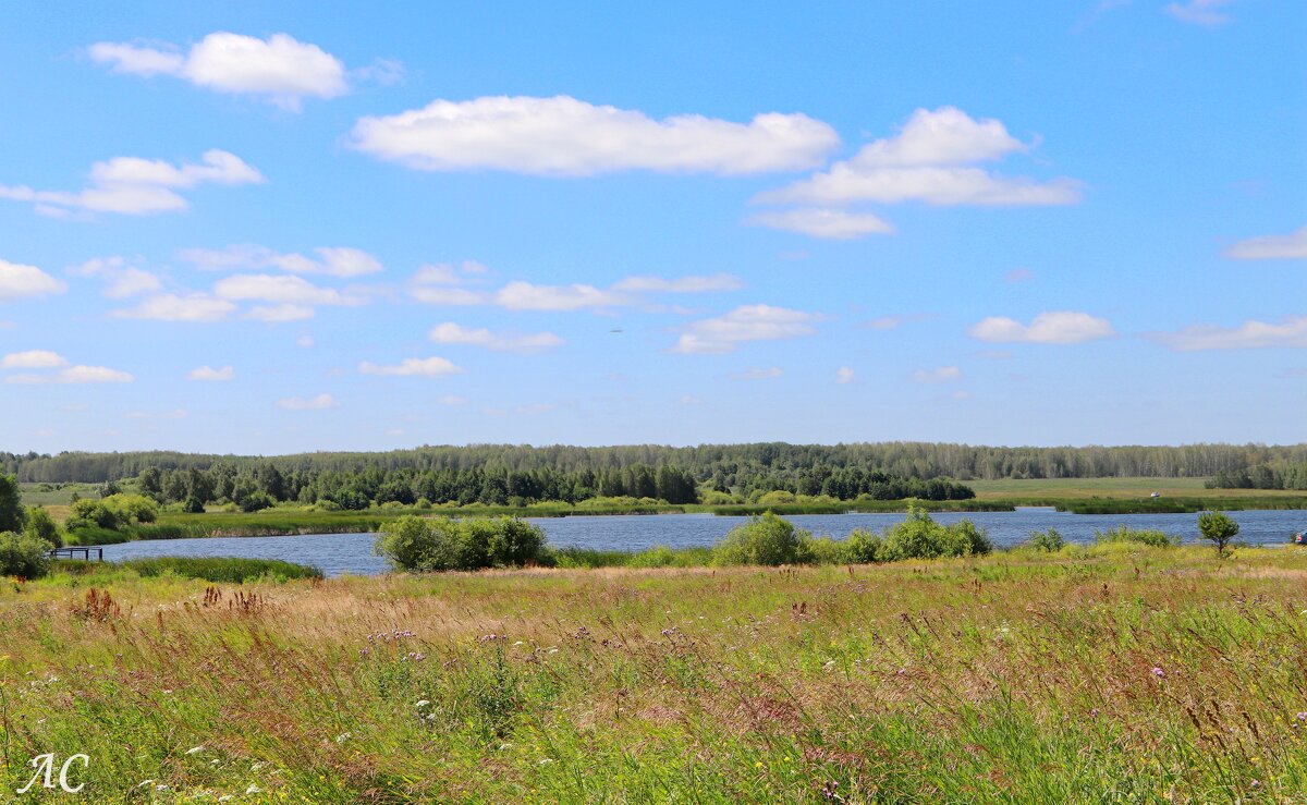 Деревенское приволье! - Любовь Сахарова Деревенское приволье! - Любовь Сахарова