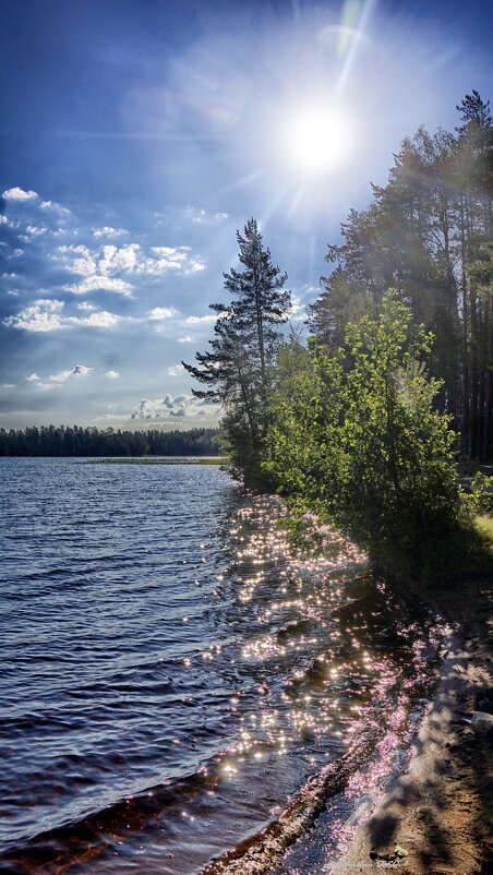 утро - Ольга Cоломатина