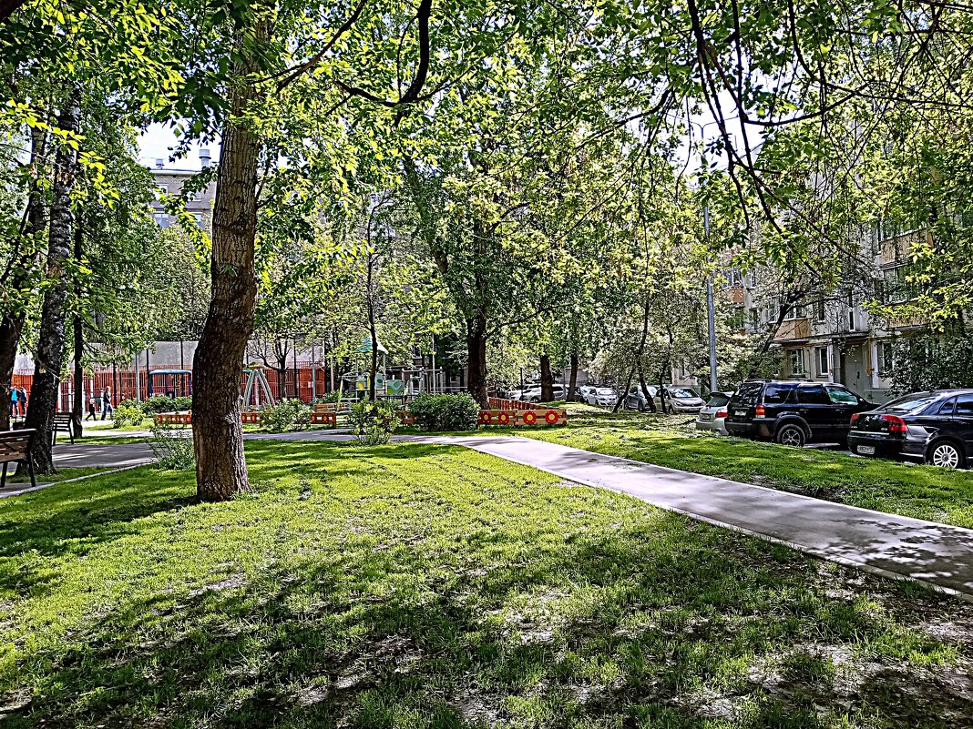 Московский двор. - Владимир Драгунский