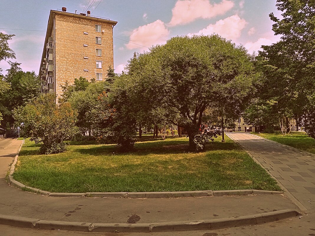 Московский двор. - Владимир Драгунский