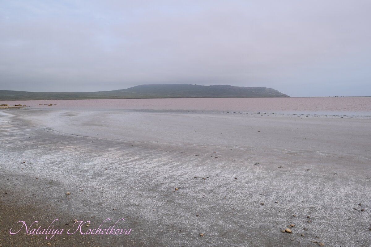 Природа Крыма - Amazing Cosmea