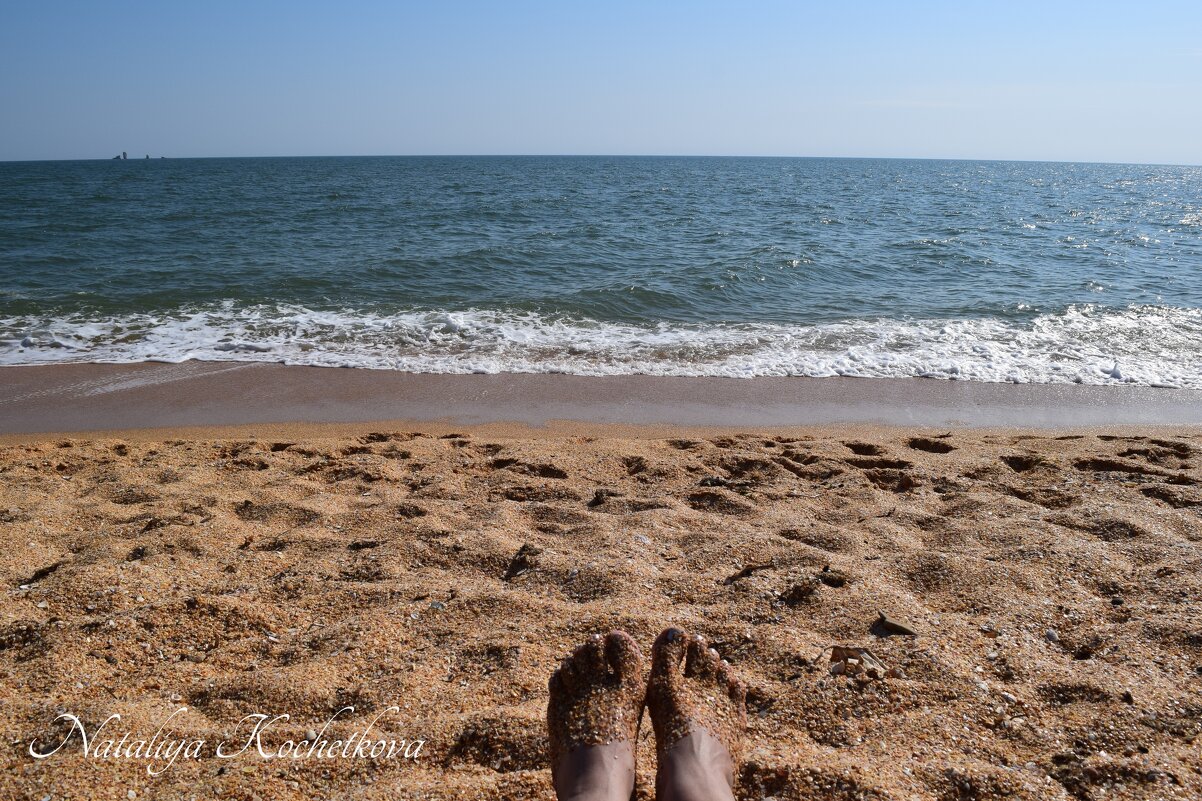 Природа Крыма - Amazing Cosmea