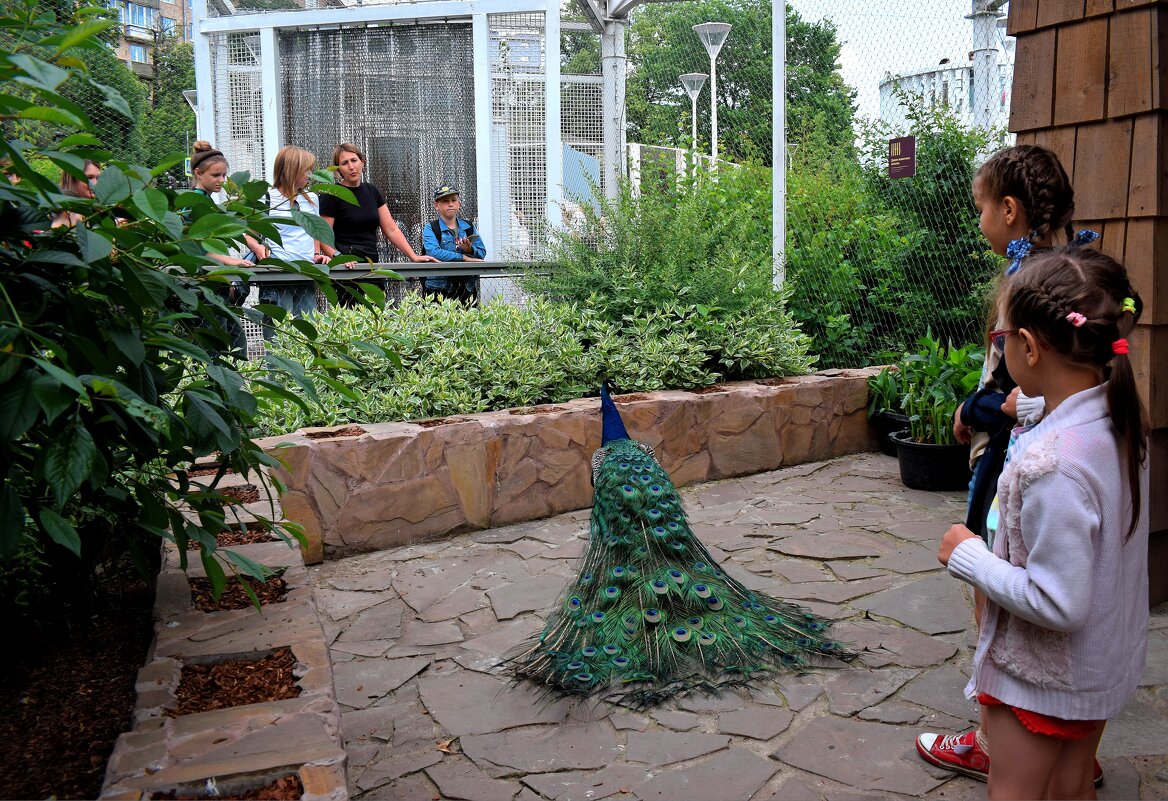 Надо только выучиться ждать! - Татьяна Помогалова