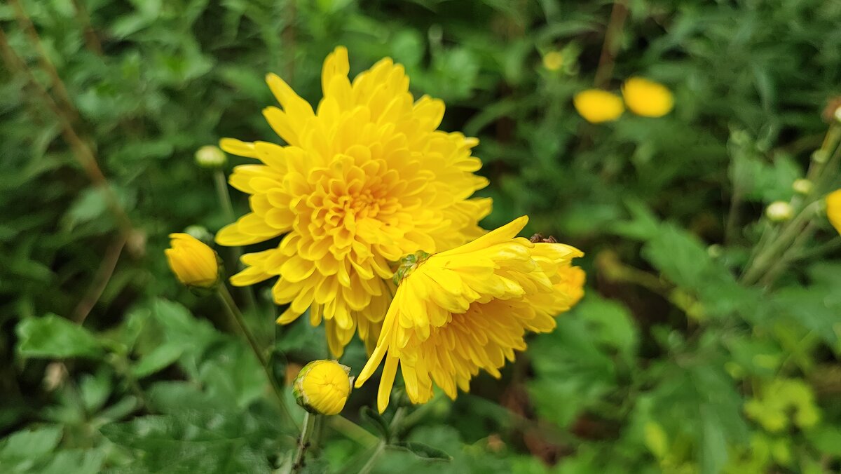 ,,, - Сергей Тимоновский