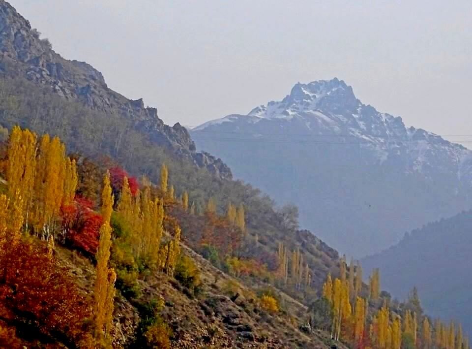 ПО НИЗАМ. - Виктор Осипчук