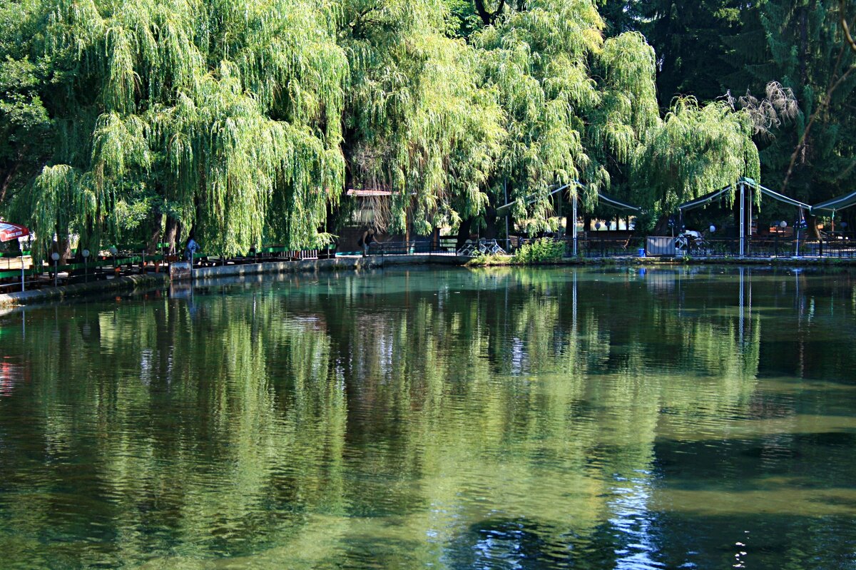 Отражение - Аркадий Басович