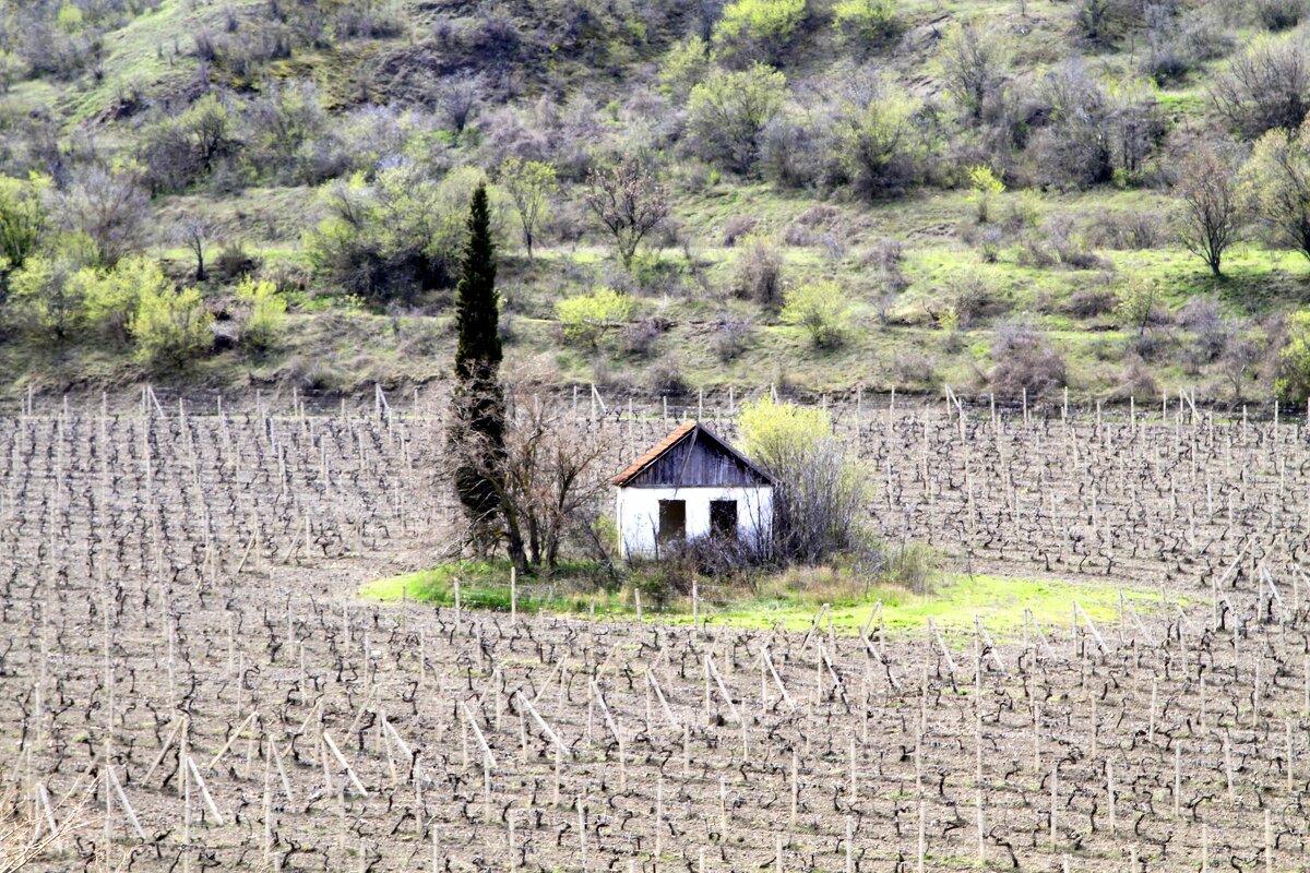 Домик Виноградаря - Геннадий Валеев