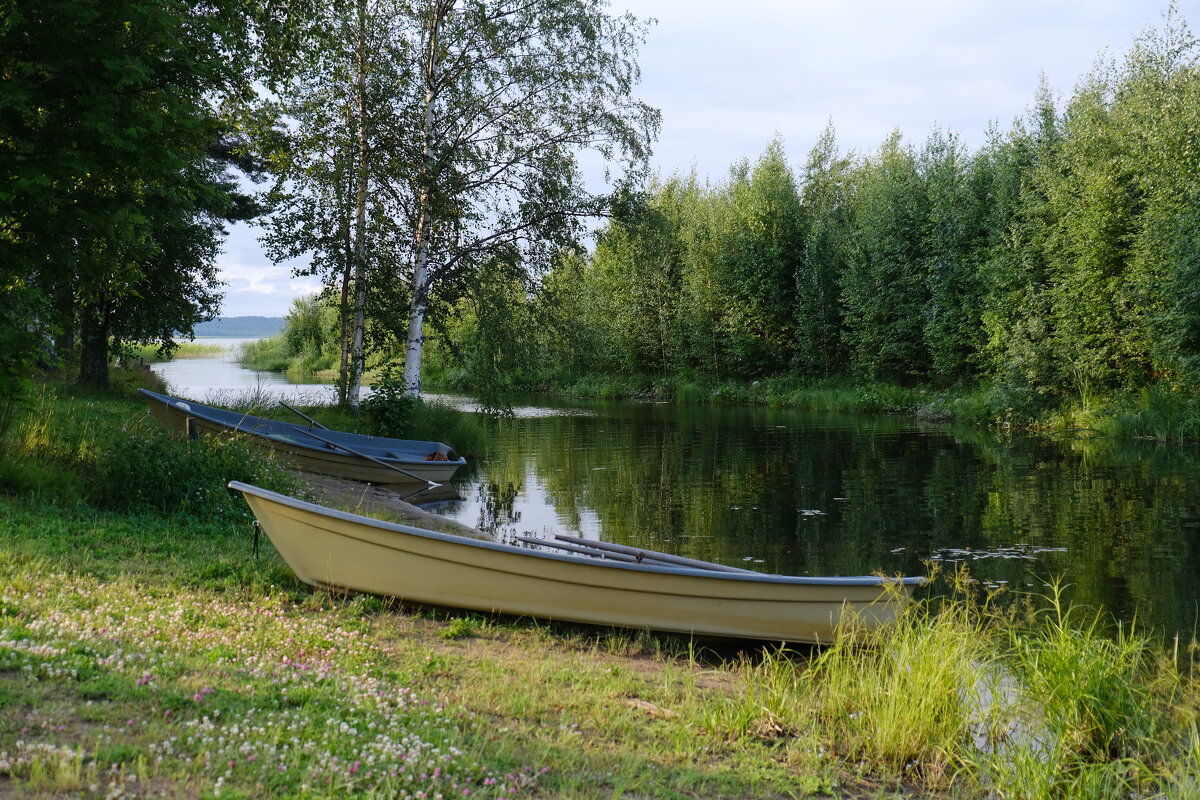 На Тудозере - Андрей Зайцев