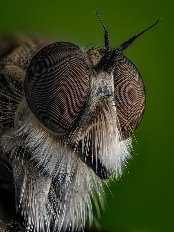 КТЫРЬ. - Олег Савицкий