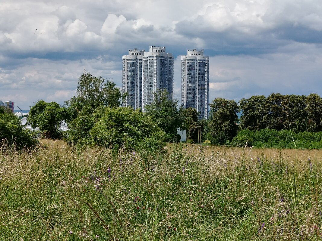 Три богатыря - Надежда 