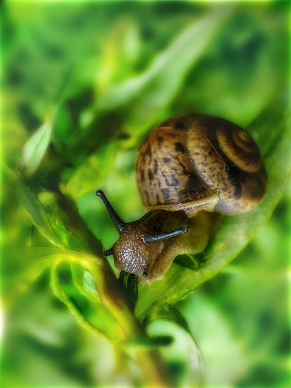 Это рога — у того, у кого надо рога! (С) - AZ east3