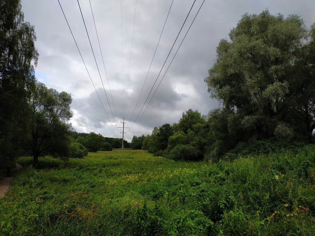 Будете смеяться, но под Дождь я НЕ попал :-) - Андрей Лукьянов Будете смеяться, но под Дождь я НЕ попал :-) - Андрей Лукьянов