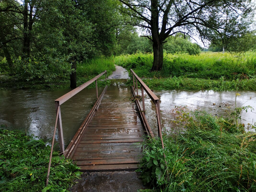 Будете смеяться, но под Дождь я НЕ попал :-) - Андрей Лукьянов