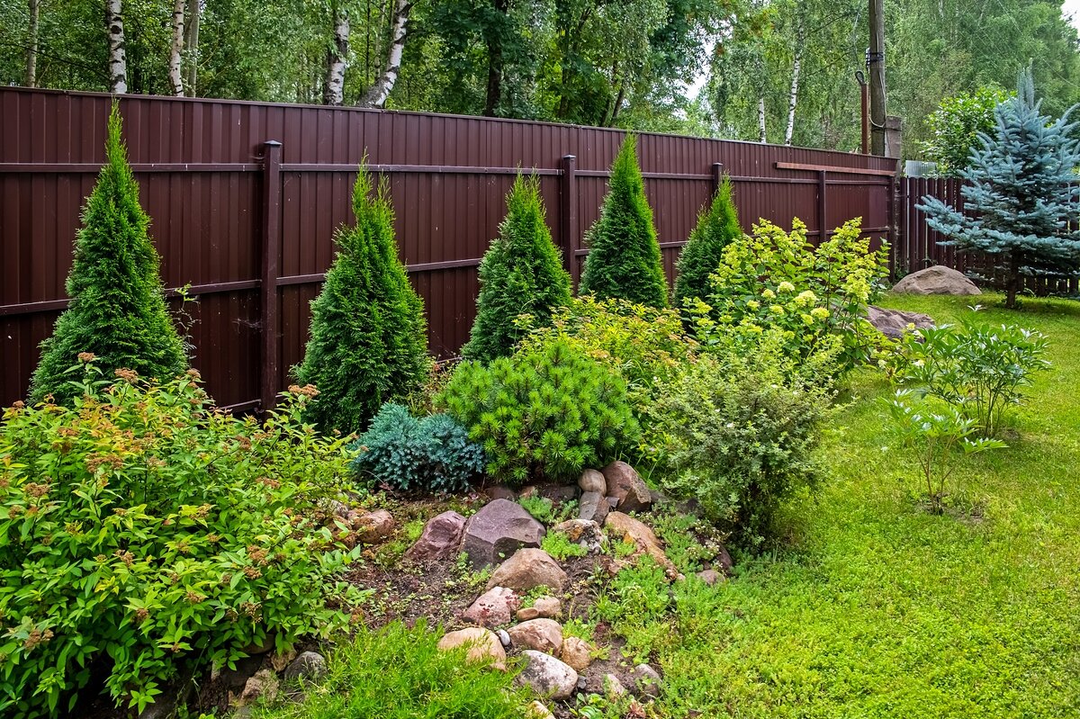 Ландшафтный дизайн у сына на даче - Валерий Иванович