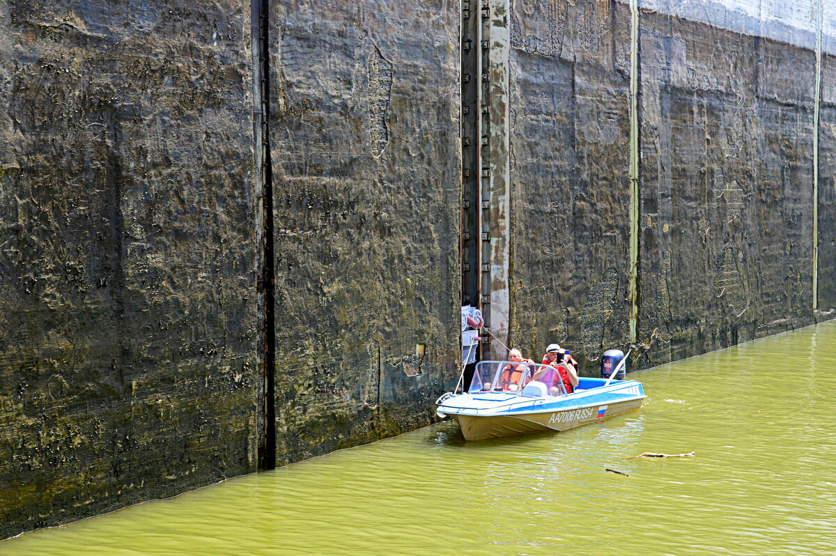 Нас снимают,- мы снимаем (такова современная реальность) - Татьяна Лютаева Нас снимают,- мы снимаем (такова современная реальность) - Татьяна Лютаева