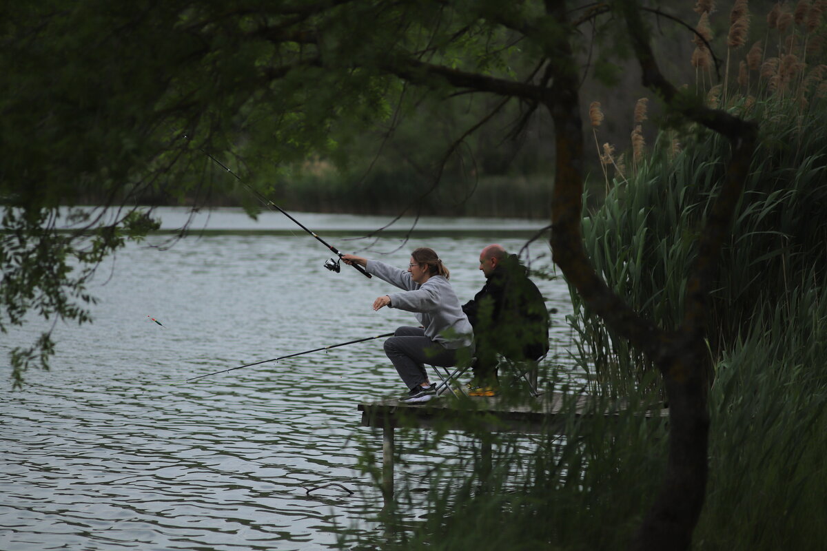 Раевское - михаил суворов