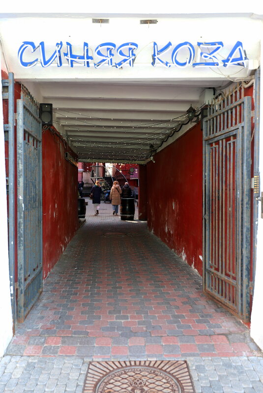 Про козу... - M Marikfoto