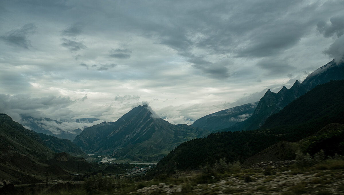 Дагестан - Лилия . Дагестан - Лилия .