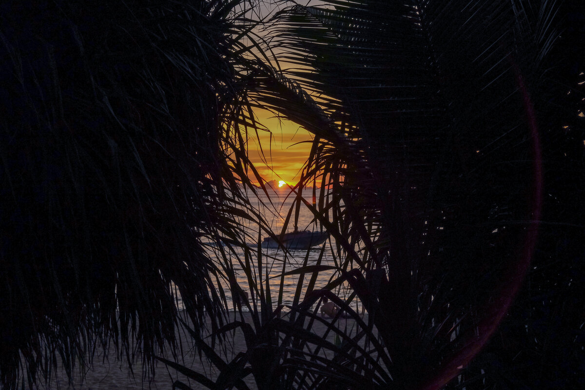 Скорость - Renkse L.J.