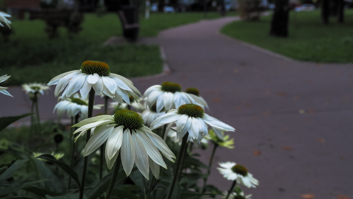 ***** - юрий поляков ***** - юрий поляков