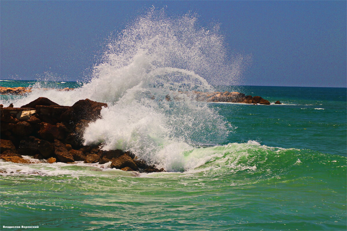 Хайфа 2025 - Владислав Воровский 