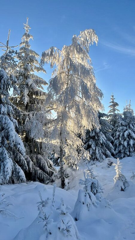 В горах Черного леса - А  И М