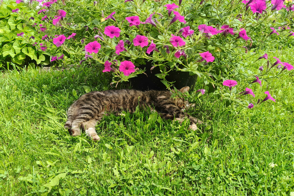 Разминка перед обедом - Валерий Судачок