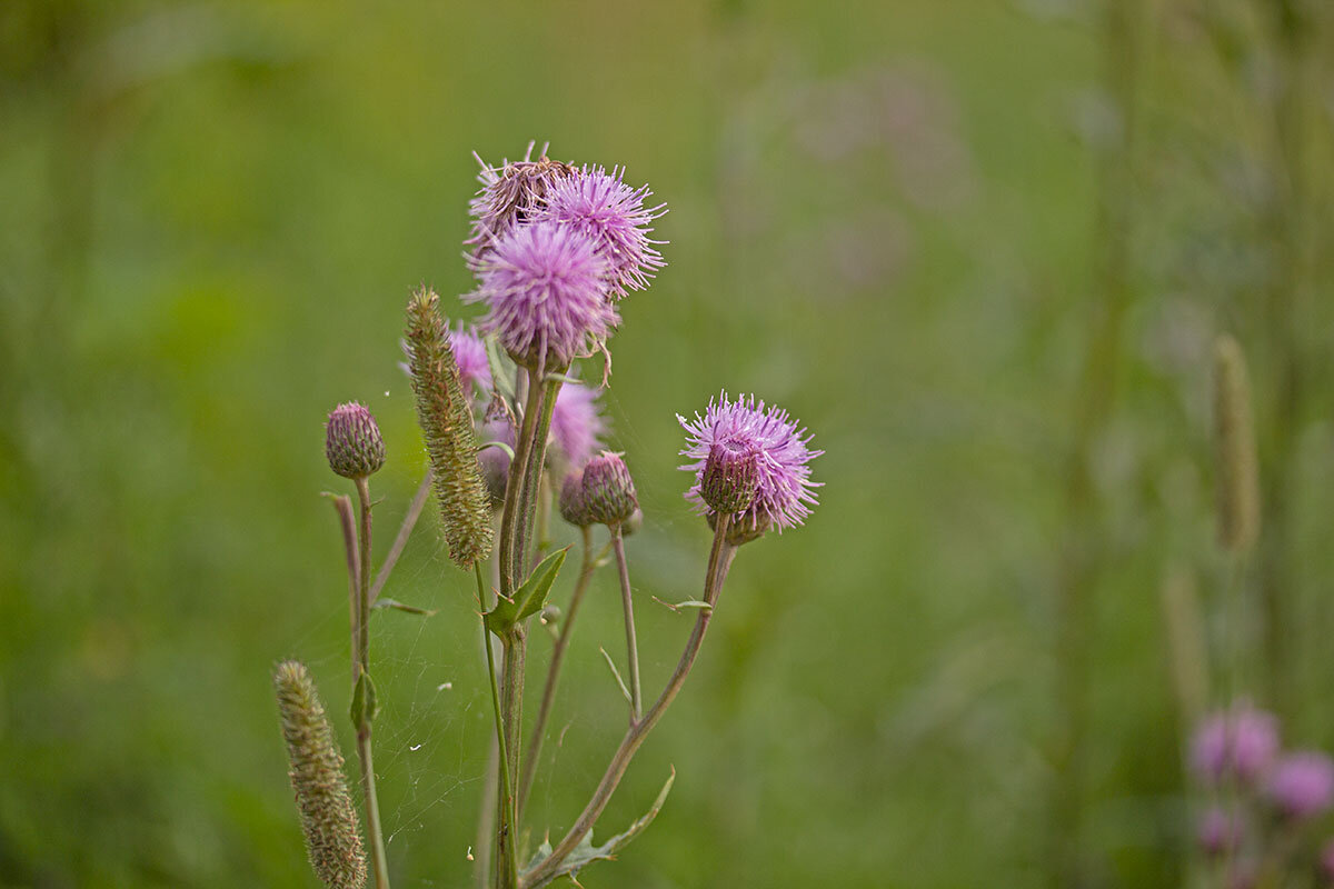 У дороги - Александр Трухин
