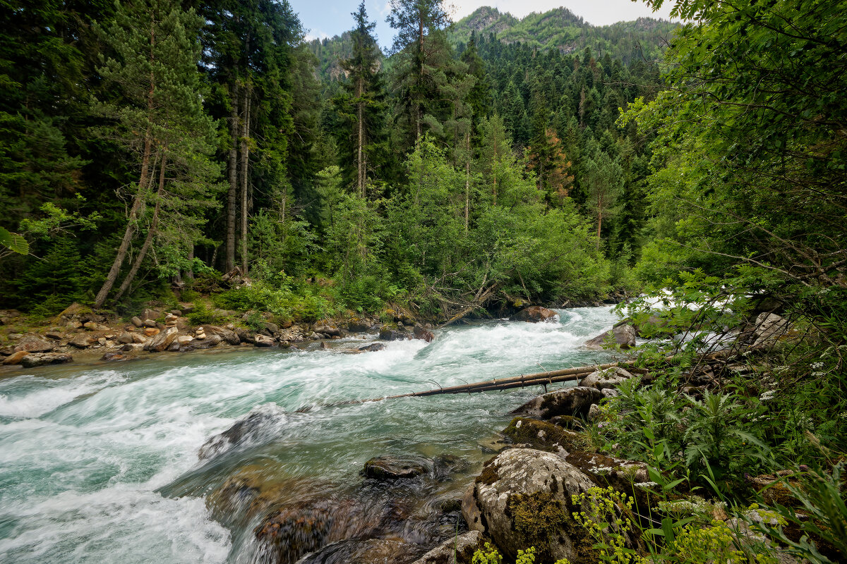 Махар - Дмитрий Емельянов