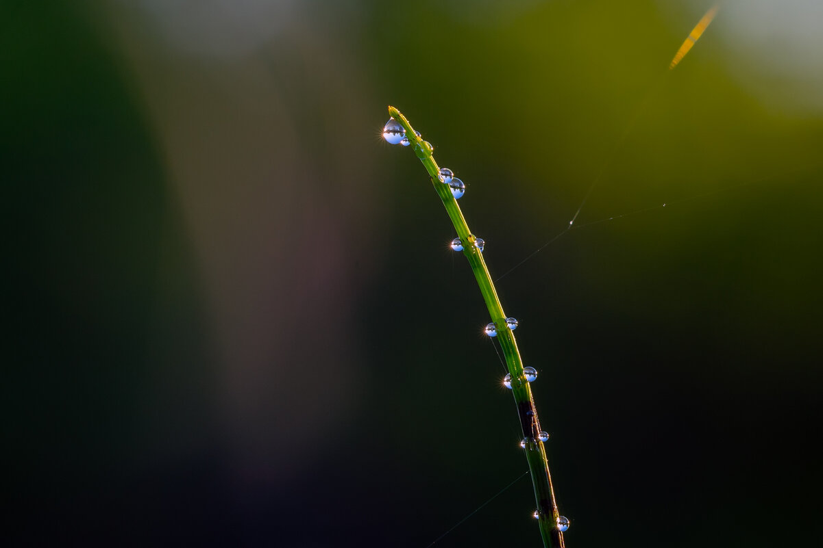на тоненького - Виталий Емельянов на тоненького - Виталий Емельянов