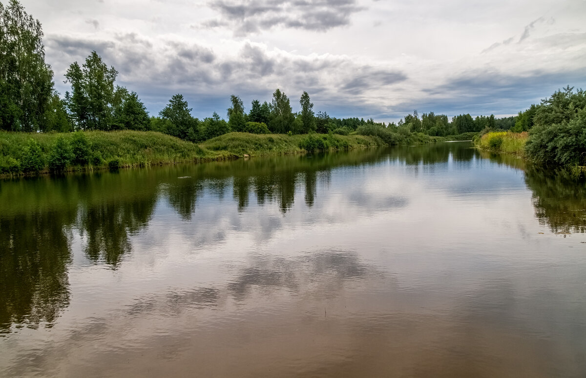 Рыбное место 4 - Андрей Дворников