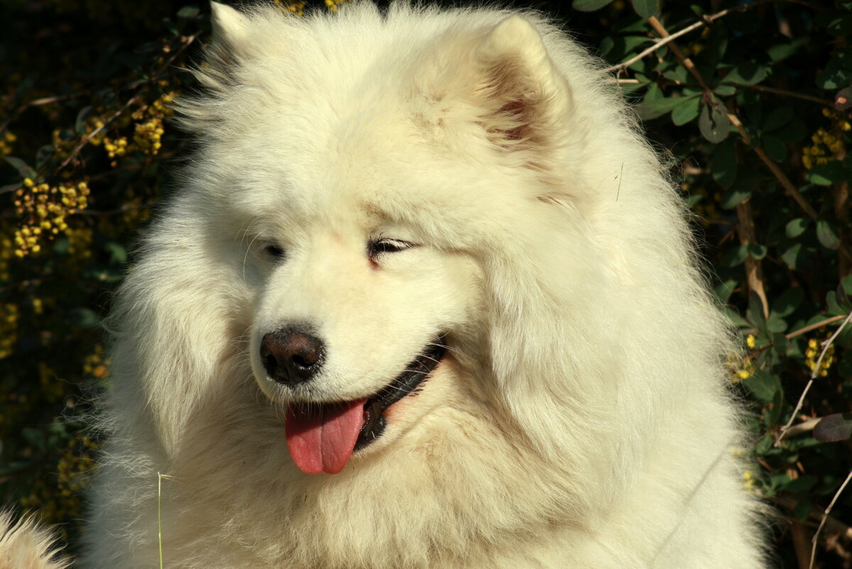 Самая скромная и добродушная... - Нэля Лысенко